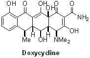 doxycycline