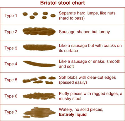 Bristol stool chart