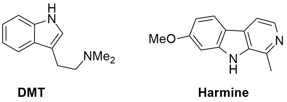 DMT