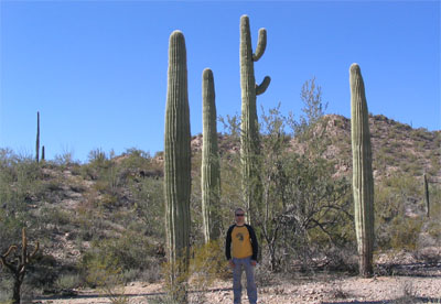 organ pipe cactus