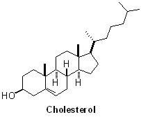 cholesterol