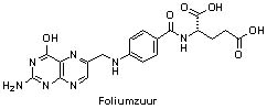 Foliumzuur