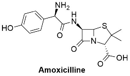 amoxicilline