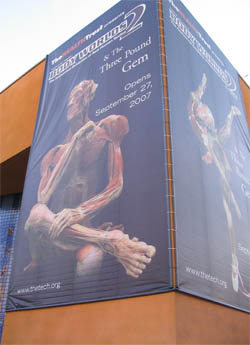 Body worlds 2