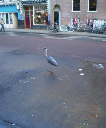 Reiger