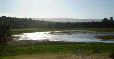 Lake Lagunita