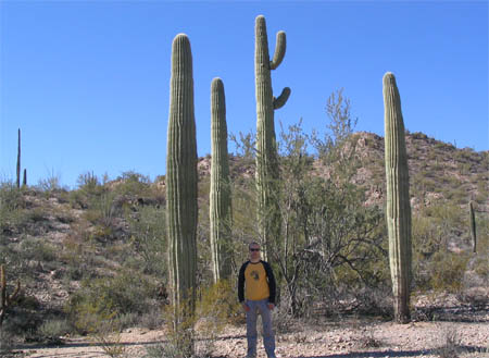 Organ Pipe Cactus National Park