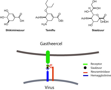 Tamiflu