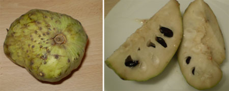 cherimoya