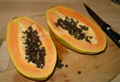 papaya