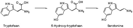 serotonine