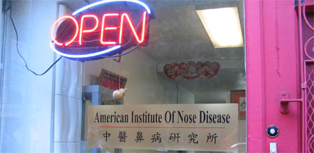 American Institute of Nose Disease