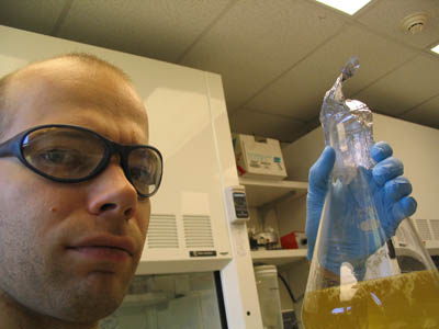 E. coli
